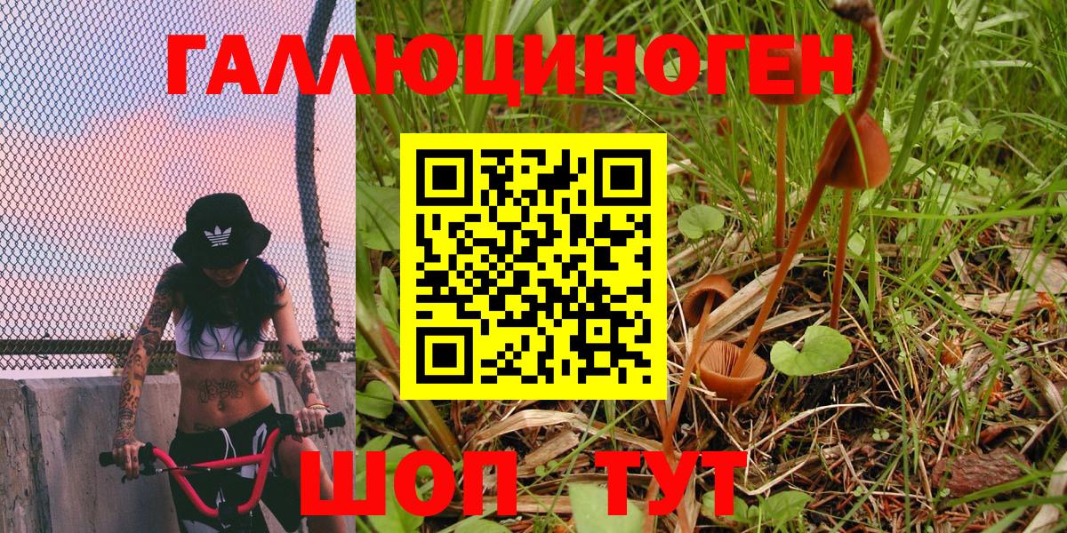 Псилоцибиновые грибы мицелий Кумертау